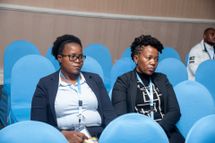 DSC_8526